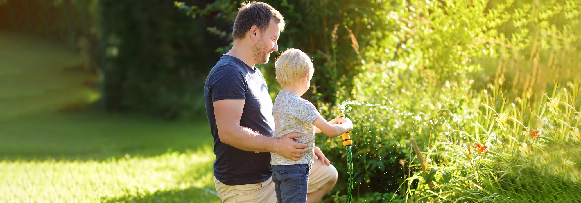 child support lawyer memphis tn