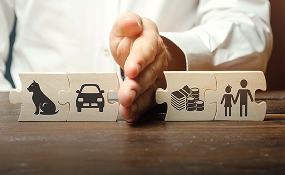 division of assets graphic